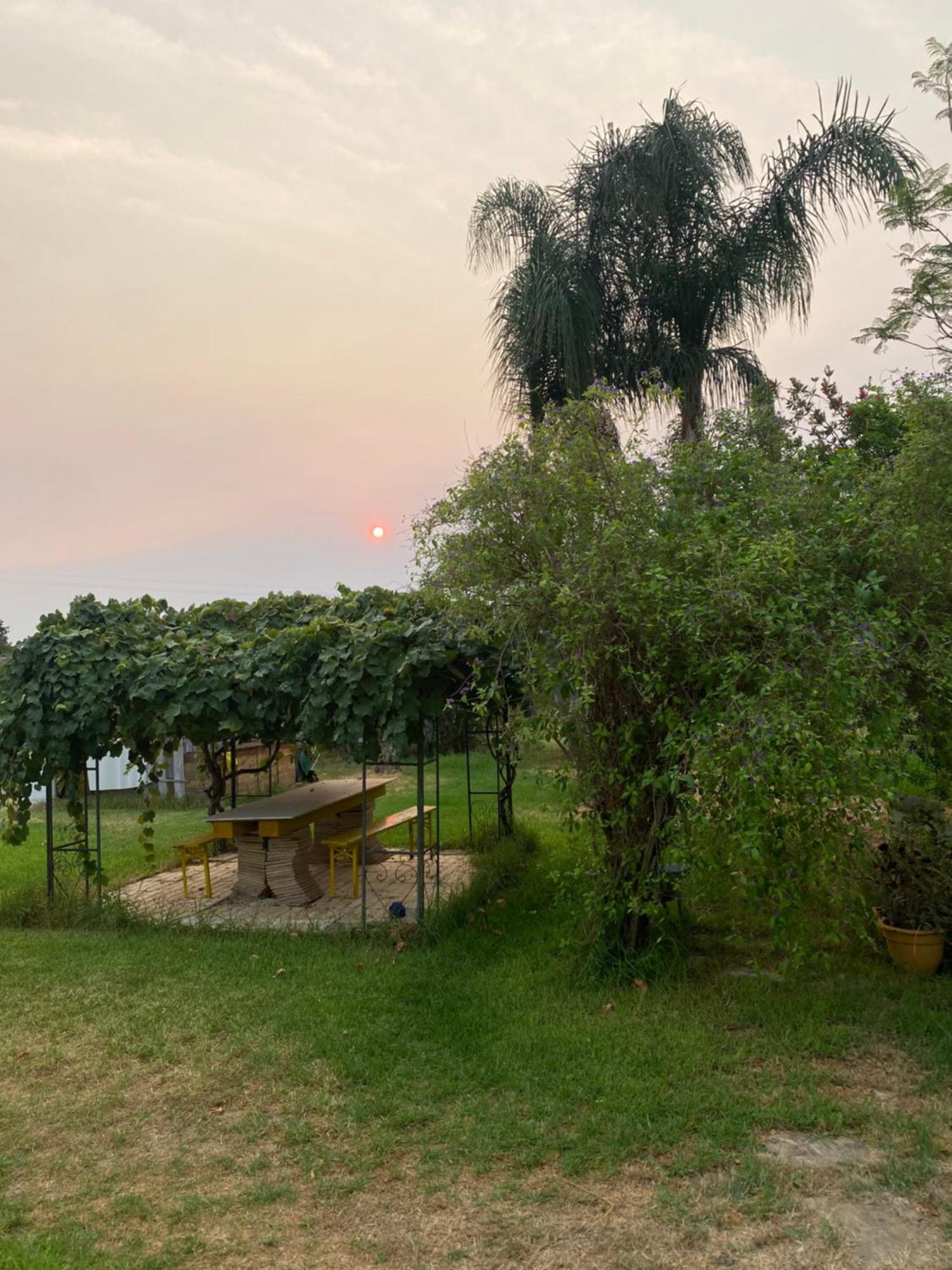 Agrib&B Lemontree Garde'N Syracuse Esterno foto