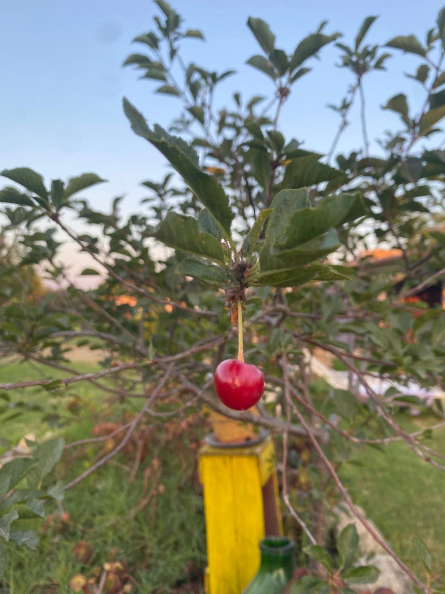Agrib&B Lemontree Garde'N Syracuse Esterno foto